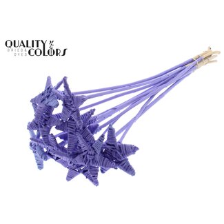 QC Rattan Lata Stern am Stab | Farbe: Milchviolett | Flacher Stecker | Länge ± 50 centimeter | 10 Stecker pro Bund