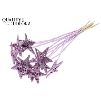 QC Rotan Lata Ster op stok | Kleur: Metallic Roze | Platte Bijsteker | Lengte ± 50 centimeter | 10 bijstekers per bos