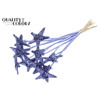 QC Rattan Lata Star on stem | Colour: Metallic Purple | Flat pick | Length ± 50 centimetre | 10 picks per bunch