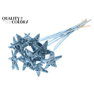 QC Rattan Lata Star on stick | Colour: Metallic Blue | Flat stem pick | Length ± 50 centimetre | 10 stem picks per bunch