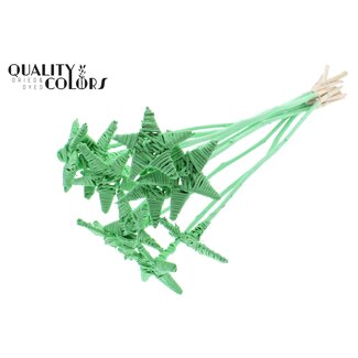 QC Rattan Lata Stern auf Stab | Farbe: Mintgrün | Flacher Steckstab | Länge ± 50 centimeter | 10 Steckstäbe pro Bund