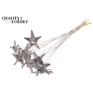 QC Rattan Lata Star on stick | Colour: Champagne-coloured | Flat pick | Length ± 50 centimeter | 10 picks per bunch