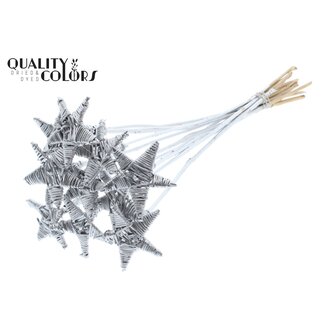 QC Rattan Lata Star on stem | Colour: Silver-coloured | Flat pick | Length ± 50 centimetre | 10 picks per bunch