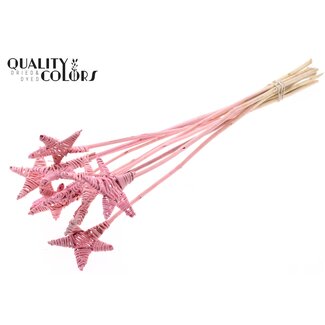 QC Rattan Lata Stern am Stab | Farbe: Frosted Rosa | Flacher Stecker | Länge ± 50 centimeter | 10 Stecker pro Bund