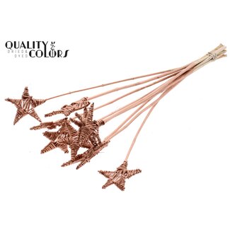 QC Rotan Lata Ster op stok | Kleur: Koperkleurig | Platte Bijsteker | Lengte ± 50 centimeter | 10 bijstekers per bos