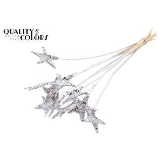 QC Rattan Lata Star on stem | Colour: Silver-coloured | Flat pick | Length ± 50 centimetre | 10 picks per bunch