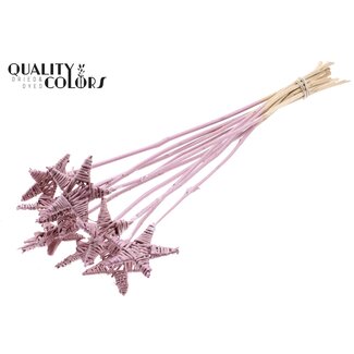 QC Rattan Lata Stern am Stab | Farbe: Metallic Rosa | Flacher Blumenstecker | Länge ± 50 centimeter | 10 Blumenstecker pro Bund
