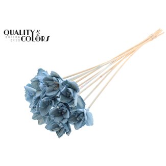 QC Shola Queen Bloem op stok | Kleur: Lichtblauw | Shola Queen Flower | Lengte ± 50 centimeter | 10 bijstekers per bos