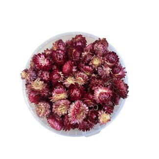 Dutch Dried Gedroogde Strobloemkoppen | Kleur: Donkerroze | Helichrysum Droogbloemen | Gewicht 100 gram | Per emmertje