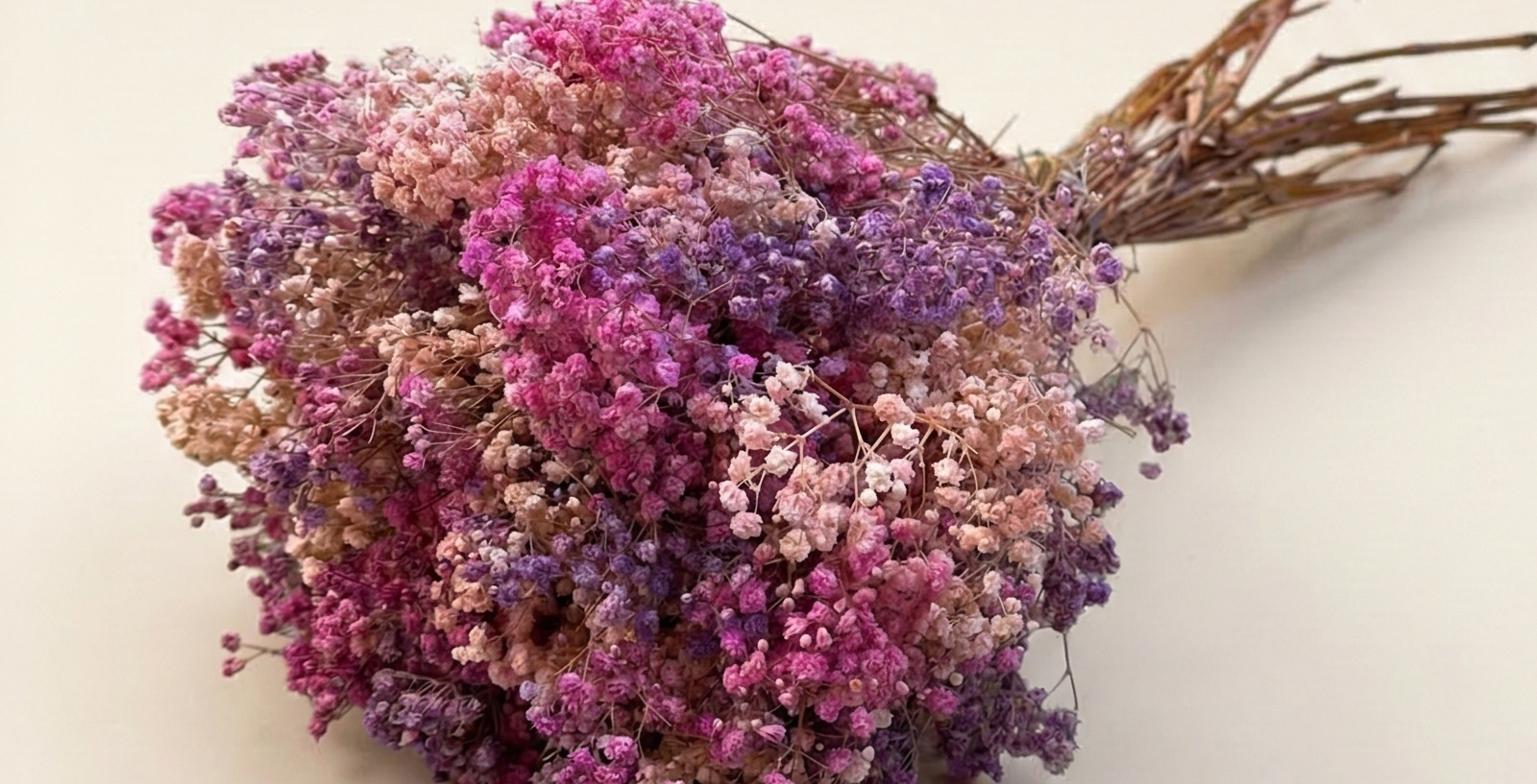 Gepreserveerde Gypsophila (Gipskruid): Duurzame Wolk van Bloem voor B2B | B2B Flowers