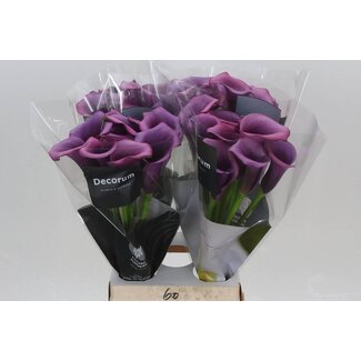 Freshy Zantedeschia Durban