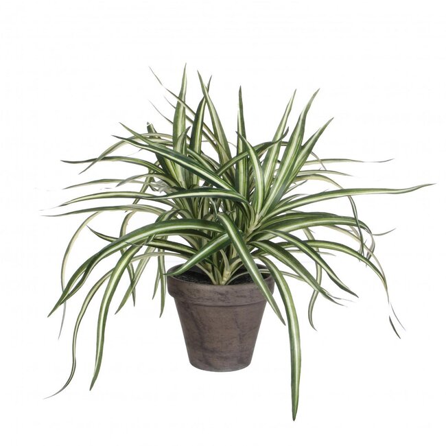 Kunstplanten Pot Dracaena d11/40*34cm