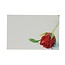 Labels Kaart 9*6cm x50 Red Rosebud