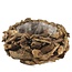 Hout Planter drijfhout d31*14cm