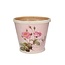 Hout Roses pot d17*15cm
