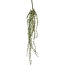 Kunstbloemen Succulent trailing 71cm