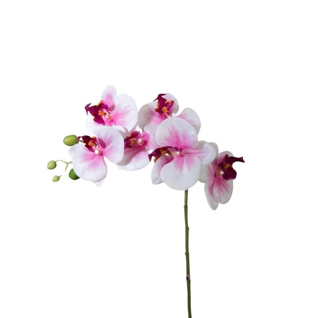 Kunstbloemen Phalaenopsis 68cm