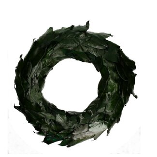 4A Couronne de feuilles de magnolia | Couleur: Vert foncé | Diamètre 50 centimeter | Par couronne