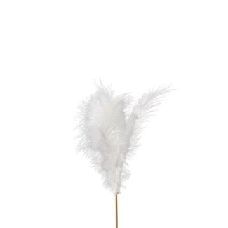 4A Feather floral pick | Colour: Natural White | Feather length 10 centimetres | Floral pick length ± 10 centimetres | Per 24 floral picks