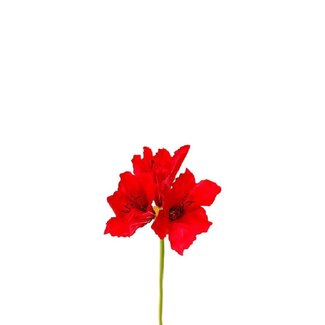 4A Amaryllis Kunstblume | Farbe: Rot | Länge ± 65 centimeter | Pro 12 Kunstblumen