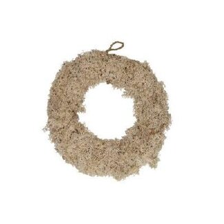 4A Couronne de mousse de renne | Couleur: crème | Diamètre 20 centimeter | Par couronne