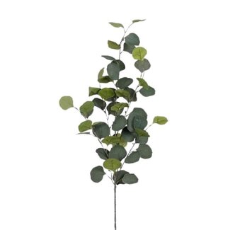 4A Eucalyptus Kunsttak | Kleur: Groen | Lengte ± 90 centimeter | Per 12 kunsttakken