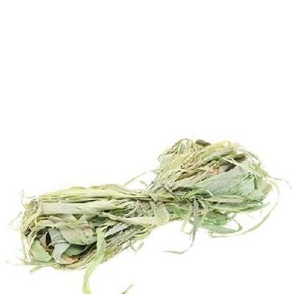4A Écorce de tilleul Décoration | Couleur: Vert clair | Par 50 gram