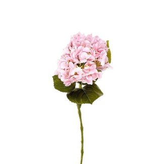 4A Hortensia Fleur artificielle | Couleur: Rose clair | Hydrangea Fleurs artificielles | Longueur ± 63 centimeter | Par 6 fleurs artificielles