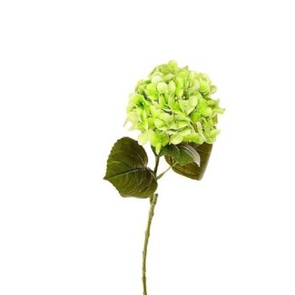 4A Hortensia Kunstbloem | Kleur: Groen | Hydrangea Kunstbloemen | Lengte ± 63 centimeter | Per 6 kunstbloemen