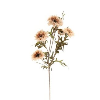 4A Gänseblümchen Kunstblume | Farbe: Champagnerfarben | Gänseblümchen Kunstblumen | Länge ± 80 centimeter | Pro 12 Kunstblumen