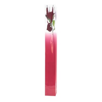 4A Tasje voor enkele Roos | Kleur: Rood | Lengte 7 centimeter | Breedte 7 centimeter | Hoogte 60 centimeter | Per 10 tasjes