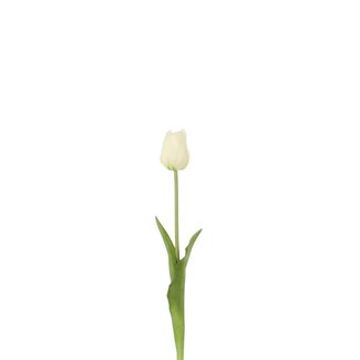 4A Tulpe Kunstblume | Farbe: Cremefarben | Tulipa Kunstblumen | Länge ± 46 centimeter | Pro 6 Kunstblumen