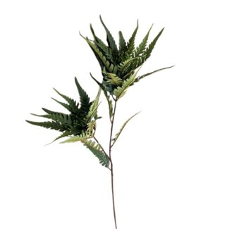 4A Farn Kunstblume | Farbe: Dunkelgrün | Länge ± 95 centimeter | Pro 6 Kunstblumen