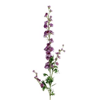4A Delphinium Fleur artificielle | Couleur: Lilas | Delphinium Fleurs artificielles | Longueur ± 86 centimeter | Par 6 fleurs artificielles