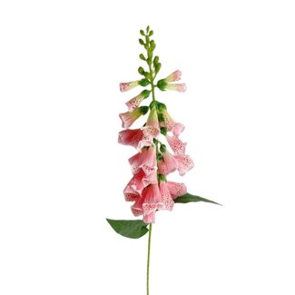 4A Digitale fleur artificielle | Couleur: Rose | Fleurs artificielles Digitalis purpurea | Longueur ± 78 centimeter | Par 6 fleurs artificielles