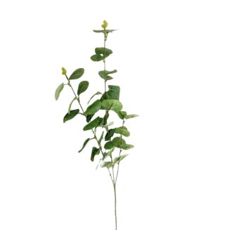 4A Eucalyptus Branche artificielle | Couleur: Vert clair | Longueur ± 90 centimeter | Par 10 Branches artificielles