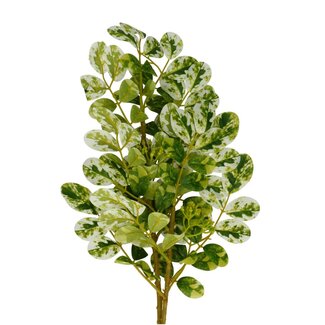 4A Fleur artificielle feuille de figuier | Couleur: Vert Blanc | Fleurs artificielles de ficus | Longueur ± 70 centimeter | Par 10 fleurs artificielles