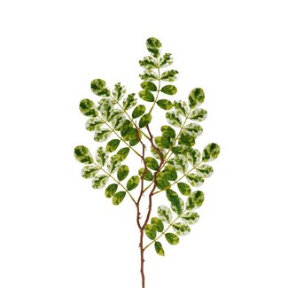 4A Fleur artificielle feuille de figuier | Couleur: Vert Blanc | Fleurs artificielles Ficus | Longueur ± 65 centimeter | Par 10 fleurs artificielles