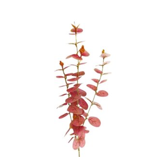 4A Eucalyptus Kunsttak | Kleur: Bordeauxrood | Lengte ± 80 centimeter | Per 10 kunsttakken