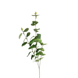 4A Eucalyptus artificial branch | Colour: Light green | Length ± 80 centimetre | Per 10 artificial branches