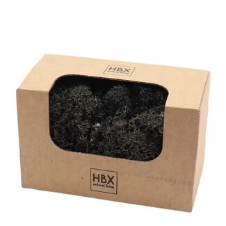 4A Mousse de renne préservée | Couleur: Noir | Décoration sèche | Poids 50 gram | Par boîte