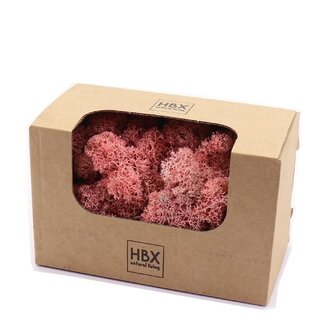4A Preserved Reindeer Moss | Colour: Pink | Dried decoration | Weight 50 gram | Per box