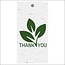 Organic Card Label with text “Thank you” | Colour: White Green | Width 5 centimeter | Height 10 centimeter | Per 10 labels