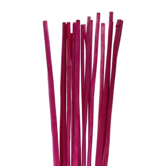 4A Tige de bambou séchée | Couleur: Fuchsia | Longueur ± 100 centimeter | Par 20 tiges