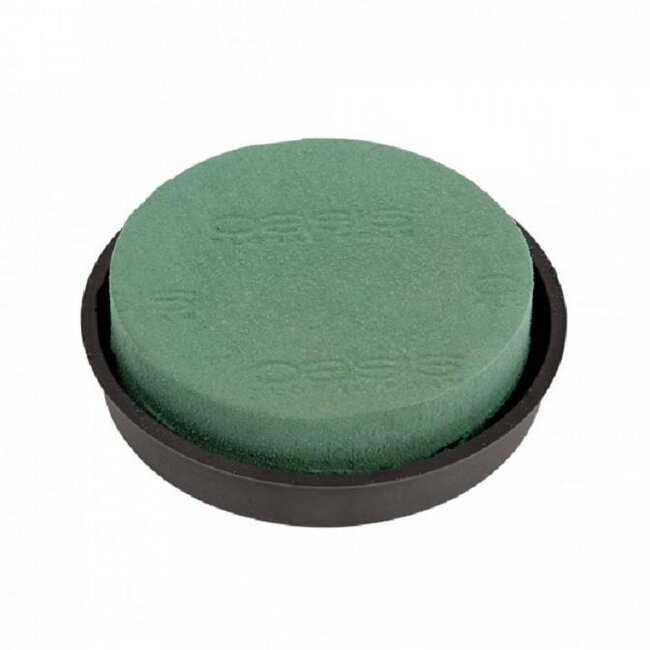 Oasis Posy Pad Naylorbase | Couleur: Vert | Diamètre 23 centimètres | Par 2 supports