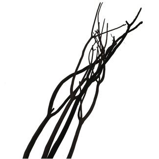 4A Gedroogde Mitsumata vlok Takken | Kleur: Zwart | Droogdecoratie | Lengte ± 115 centimeter | 3 takken per bos | Per bos