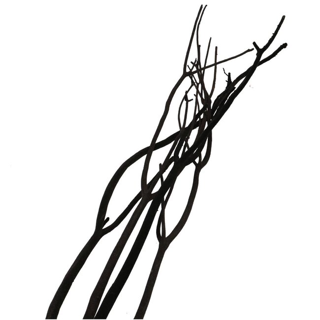 Gedroogde Mitsumata vlok Takken | Kleur: Zwart | Droogdecoratie | Lengte ± 115 centimeter | 3 takken per bos | Per bos