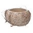 Demi Coquille de Noix de Coco Séchée | Couleur: Blanc naturel | Décoration sèche | Par 3 coquilles