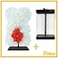 Bear of Foam Roses with Heart | Colour: White and Red | Height 25 centimeter | including stand | Per bear