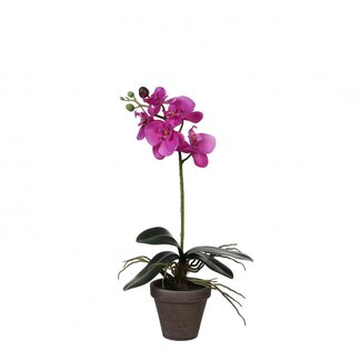 4A Vlinderorchidee Kunstplant met pot | Kleur: Fuchsia | Phalaenopsis Kunstplant | Diameter ± 11 - 13 centimeter | Hoogte ± 48 centimeter | Per 6 kunstplanten